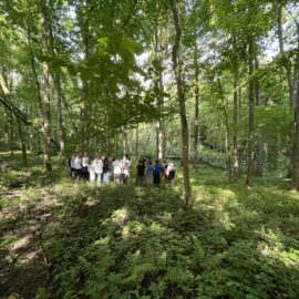 Spannende Expedition in den Wald: Outdoorprofilklassen 5b und 6b forschen mit dem Lumbricus-Umweltbus Spannende Expedition in den Wald: Outdoorprofilklassen 5b und 6b forschen mit dem Lumbricus-Umweltbus